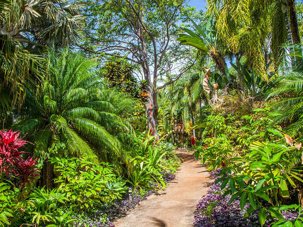 Allerton Garden